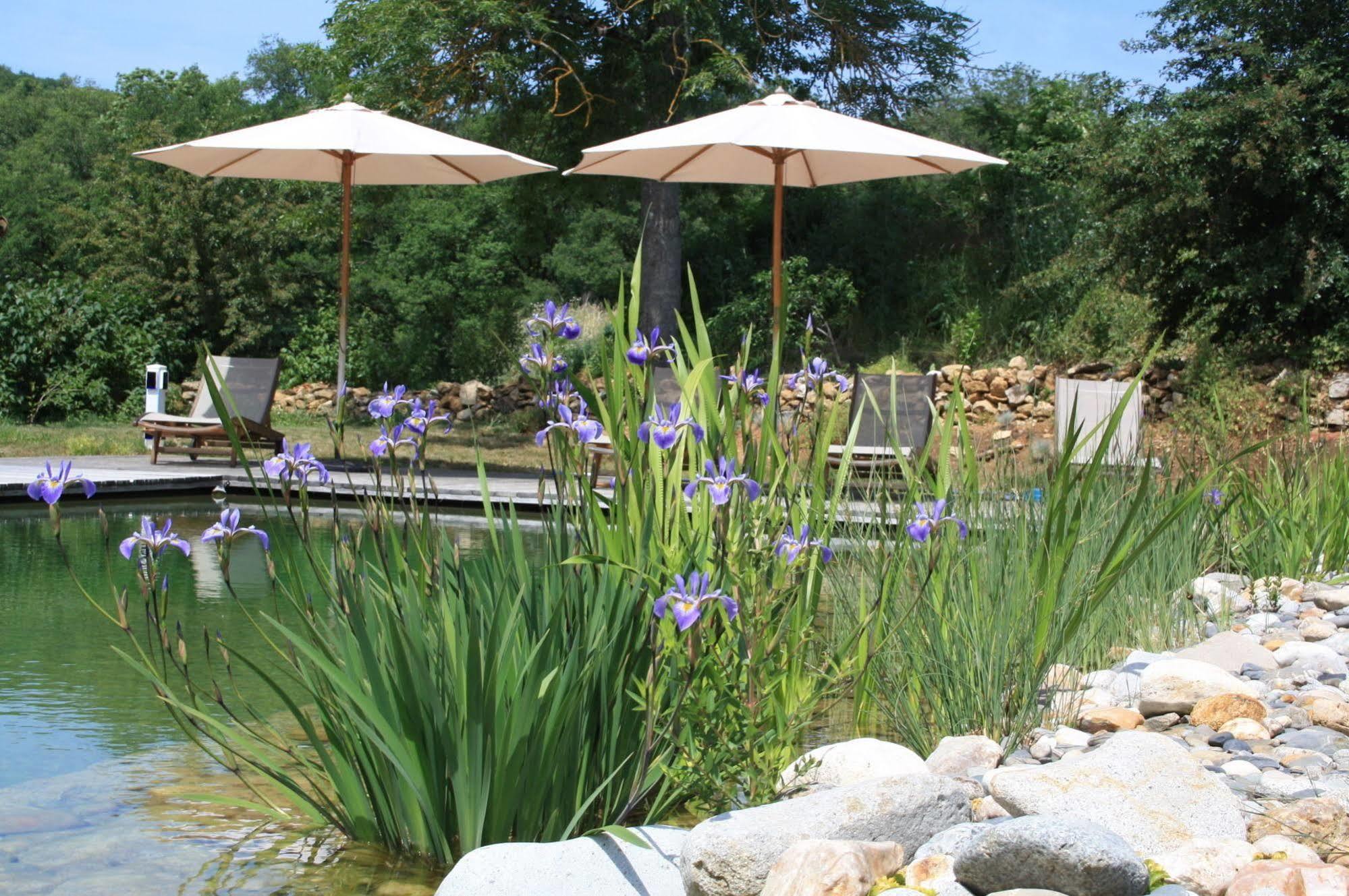 Le Hameau Du Quercy Bed & Breakfast Frontenac  Екстериор снимка